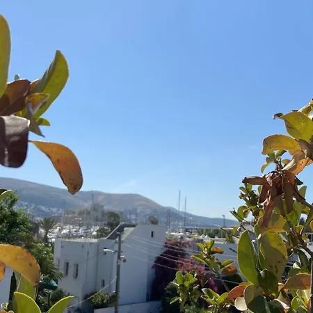 Hotell Casa Tua Butik *