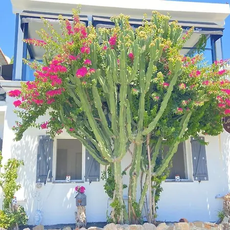 Hotel Casa Tua Butik Bodrum