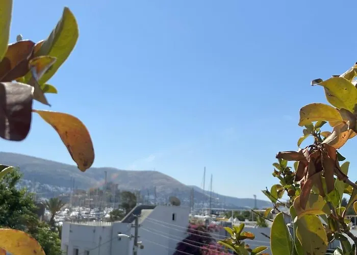 호텔 Casa Tua Butik *